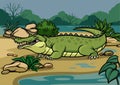 Crocodile illustration in the nature