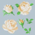 Vector cross stitch roses