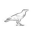 Vector of crow design isolated on white background. Easy editable layered vector illustration. Wild Animals Royalty Free Stock Photo