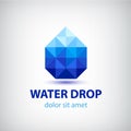 Vector crystal modern water drop logo, icon