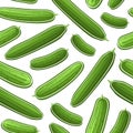 Vector Cucumber Seamless Pattern