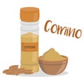 Vector cumin illustration isolated in cartoon style. Spanish name