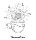 Vector cup of Chamomile herbal tea isolated on white background. Outline Chamomile flower and ornate petal in contour style. Royalty Free Stock Photo