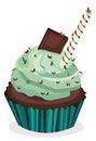 Vector cupcake,cake,maffin. Mint and chocolate dessert print,illustration.