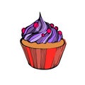 Vector cupcake dessert cream food sweet illustration birthd