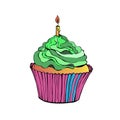 Vector cupcake dessert cream food sweet illustration birthd