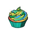 Vector cupcake dessert cream food sweet illustration birthd