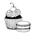 Vector cupcake with whipped cream and cherry and macaroon cookie black and white ink graphic illustration