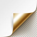 Vector Curled Golden Corner of White Paper with Shadow Mock up Close up on Background