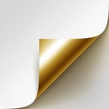 Vector Curled Golden Corner of White Paper with Shadow Mock up on White Background