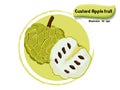 Vector Custard apple fruit isolated on color background,illustrator 10 eps Royalty Free Stock Photo