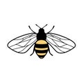 Vector cute bee illustration in flat style. Cartoon flying honey bee character isolated on white background. Buzzing Royalty Free Stock Photo