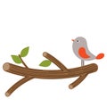 Vector Cute Bird on Branch. Bird Clipart. Bird on Branch Vector Illustration.