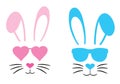 Vector cute bunnies, pink and blue in sunglasses