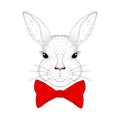 Vector cute bunny portrait. Hand drawn rabbit head with red bow Royalty Free Stock Photo