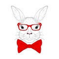 Vector cute bunny portrait. Hand drawn rabbit head Royalty Free Stock Photo