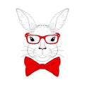 Vector cute bunny portrait. Hand drawn rabbit head with red bow Royalty Free Stock Photo