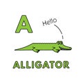 Vector Cute Cartoon Animals Alphabet. Alligator Illustration Royalty Free Stock Photo