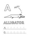 Vector Cute Cartoon Animals Alphabet and Tracing Practice Letter A. Alligator Coloring Pages Royalty Free Stock Photo