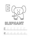 Vector Cute Cartoon Animals Alphabet and Tracing Practice Letter E. Elephant Coloring Pages Royalty Free Stock Photo