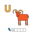 Vector Cute Cartoon Animals Alphabet. Urial Illustration