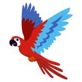 Vector Cute Cartoon Exotic Macaw Illustration Isolated