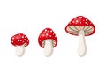 vector cute cartoon fly agaric mushrooms