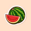 vector cute cartoon of green slice and single watermelon isolated