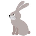 Vector Cute Cartoon Rabbit. Vector Hare. Bunny Vector Illustration. Royalty Free Stock Photo