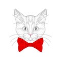 Vector cute cat portrait. Hand drawn hipster kitty head