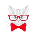 Vector cute cat portrait with hipster glasses. Hand drawn kitty