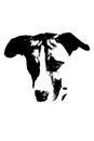 vector cute dog with white and black spots fur silhouette on white transparent background