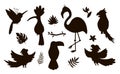 Vector cute exotic birds, leaves, flowers silhouettes isolated on white background. Funny tropical animals and plants illustration Royalty Free Stock Photo