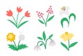 Vector Cute Flat Spring Flowers Icons Set. First Blooming Plants Illustration. Floral Clip Art Collection. Tulips, Dandelion,