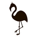 Vector cute funny flamingo silhouette isolated on white background. Funny tropical exotic bird illustration. Black stencil picture