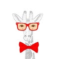 Vector cute giraffe face with sunglasses, bow tie. Fashion hand