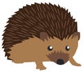 Vector Cute Hedgehog Isolated on White Background