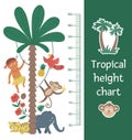 Vector cute height chart with exotic animals, African boy, leaves, flowers, fruits. Funny wall decoration with tropical aboriginal