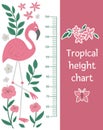 Vector cute height chart with pink flamingo, tropical leaves and butterfly. Funny wall decoration with exotic bird. Bright flat