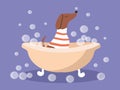 Vector cute illustration - a dachshund dog sitting in a foam bath. trendy illustration in flat style