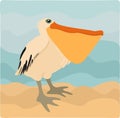Vector cute illustration of pelican, standing on sand near the sea
