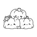 A vector of a cute kawaii pumpkins in black and white coloring,coloring page halloween. Royalty Free Stock Photo