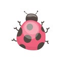 Vector cute ladybug in cartoon style. Funny insects or beetles. Stock isolated image on a white background.