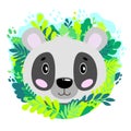 Vector cute panda face in the jungle. For print on a T-shirt, a picture in the nursery.