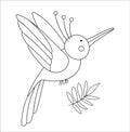 Vector cute paradise bird outline. Funny tropical exotic animal black and white illustration. Fun coloring page for children. Royalty Free Stock Photo