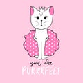 Vector cute princess cat illustration. Hand drawn Stylish kitten art. Doodle Kitty. Cartoon animal isolated on white