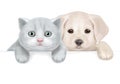 Vector of cute puppy and kitten hiding by blank.