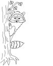 Vector Cute Raccoon Sitting on Tree, Coon Clipart