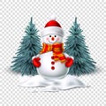 Vector cute realistic snowman in mittens scarf hat