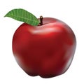 Vector of Cute Red Apple done using gradient mesh